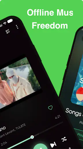 RiMusic screenshot