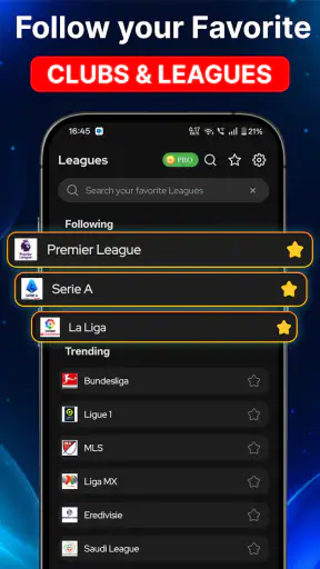 Risultati Calcio in Diretta screenshot