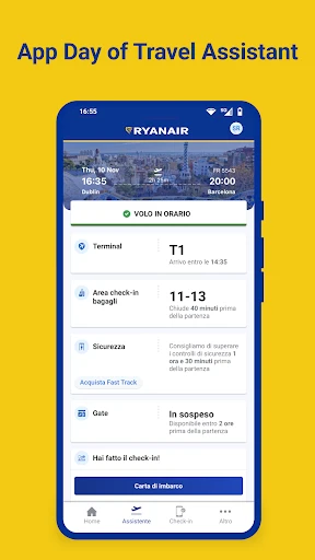 Ryanair screenshot