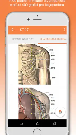 Shen Agopuntura screenshot