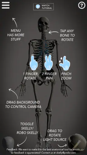 Skelly: Poseable Anatomy Model screenshot