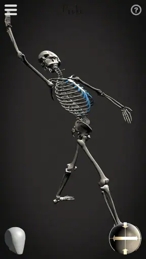 Skelly: Poseable Anatomy Model screenshot