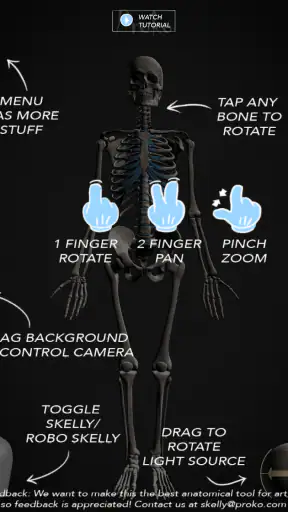 Skelly: Poseable Anatomy Model screenshot
