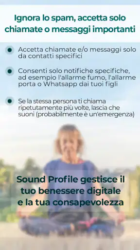 Sound Profile screenshot