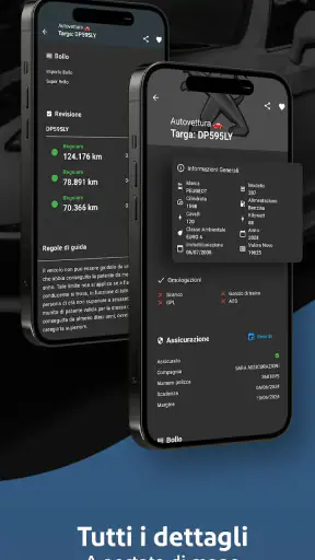 TargApp - Visura targa screenshot