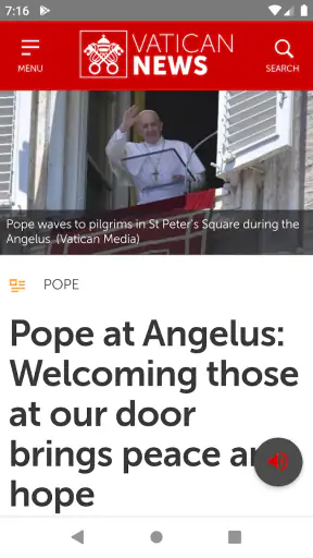 Vatican News screenshot