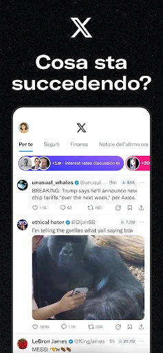 X (Precedentemente Twitter) screenshot