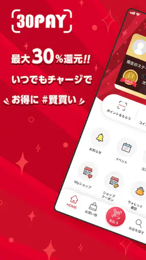 30PAY screenshot