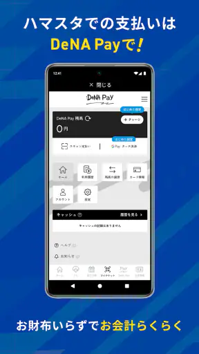 BAYSTARS STAR GUIDE screenshot