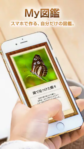 My図鑑 〜コレクション管理・整理アプリ〜 screenshot