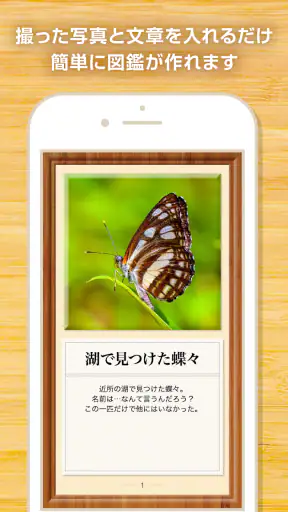 My図鑑 〜コレクション管理・整理アプリ〜 screenshot