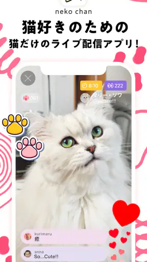 nekochan - 猫だけのライブ配信で癒されよう！ screenshot