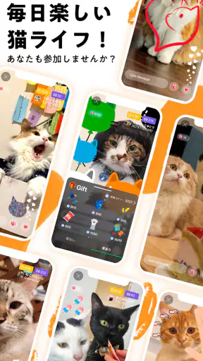 nekochan - 猫だけのライブ配信で癒されよう！ screenshot