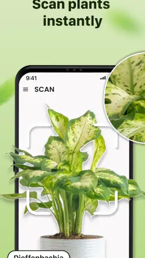 Plantid: 植物識別AI screenshot