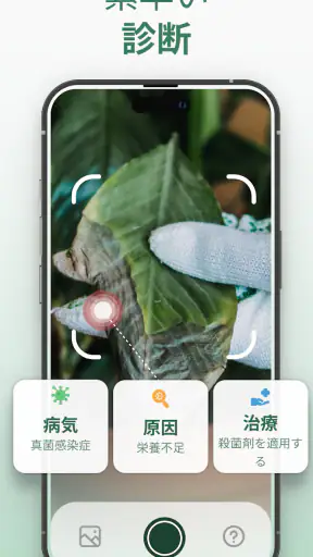 Plantify : 植物 識別 ケア, 花図鑑 screenshot