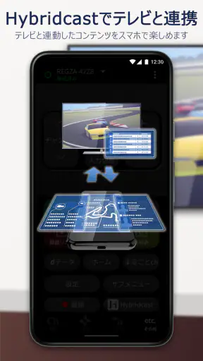 RZハイブリッドリモ screenshot