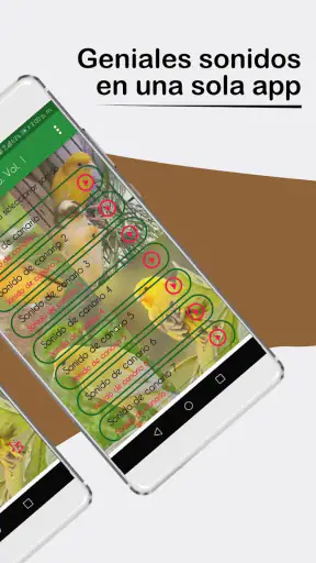 Sonidos de Canarios. Cantos. screenshot