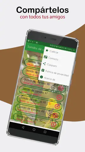 Sonidos de Canarios. Cantos. screenshot