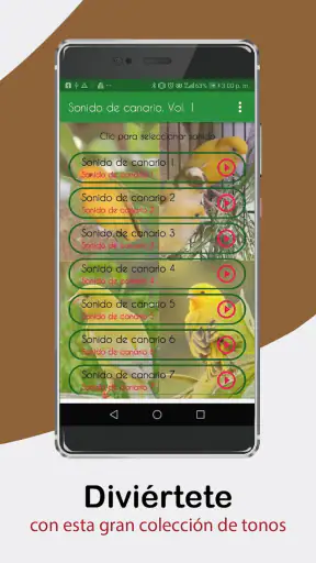 Sonidos de Canarios. Cantos. screenshot