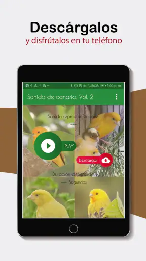 Sonidos de Canarios. Cantos. screenshot