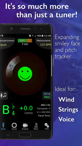 TonalEnergy  チューナーとメトロノーム screenshot
