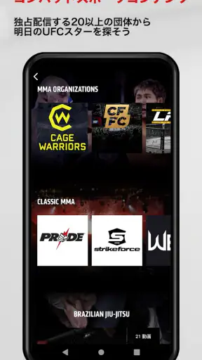 UFC screenshot