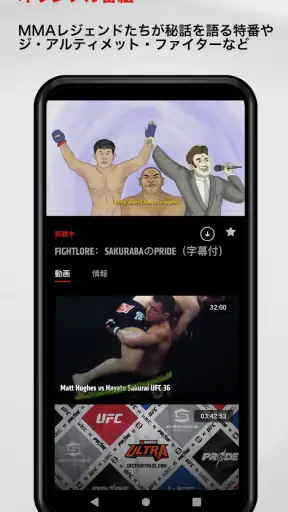 UFC screenshot