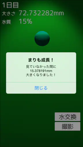 まりも育成ゲーム screenshot
