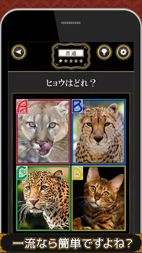 全国共通格付けチェック screenshot