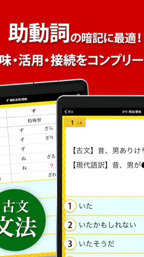 古文・漢文（古文単語、古典文法、漢文） screenshot