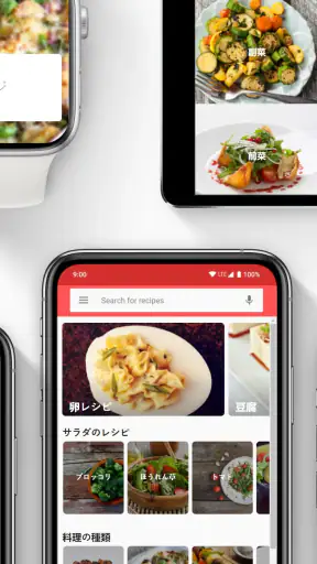 日本のレシピ screenshot