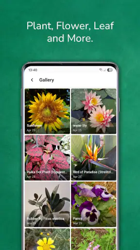 植物 写真 名前 調べる 無料 screenshot