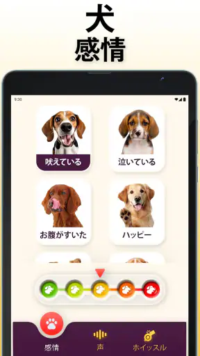 犬語翻訳アプリ: 犬の言葉がわかるアプリ screenshot