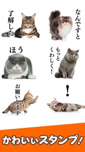 猫スタンプ（実写スタンプ） screenshot