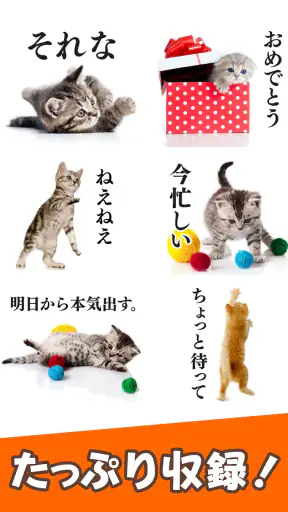 猫スタンプ（実写スタンプ） screenshot