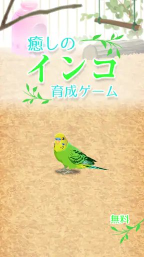 癒しのインコ育成ゲーム screenshot