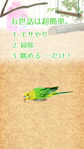 癒しのインコ育成ゲーム screenshot
