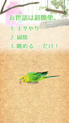 癒しのインコ育成ゲーム screenshot