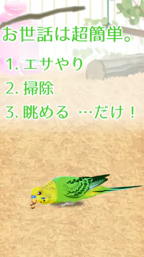 癒しのインコ育成ゲーム screenshot