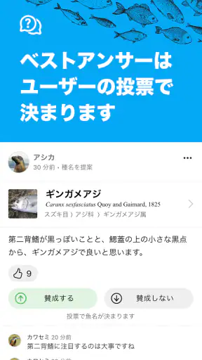 魚みっけ screenshot