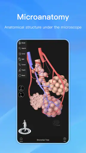 Anatomy Master screenshot