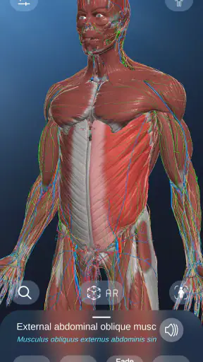 AR Anatomy screenshot