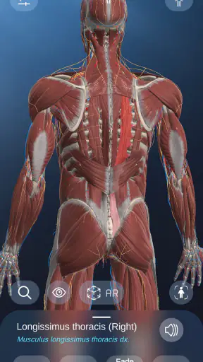 AR Anatomy screenshot
