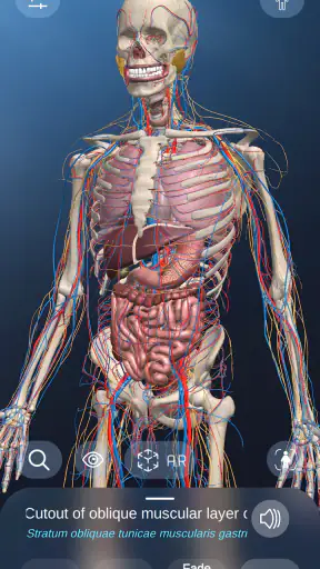 AR Anatomy screenshot