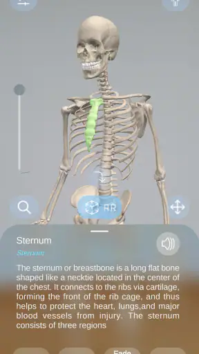 AR Anatomy screenshot