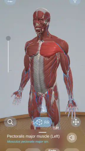AR Anatomy screenshot