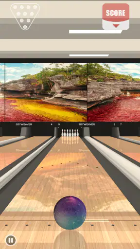 Bowling Master Realistic Game screenshot