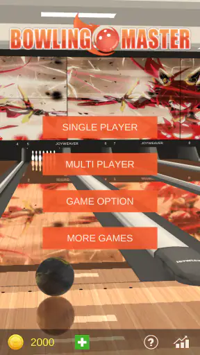 Bowling Master Realistic Game screenshot