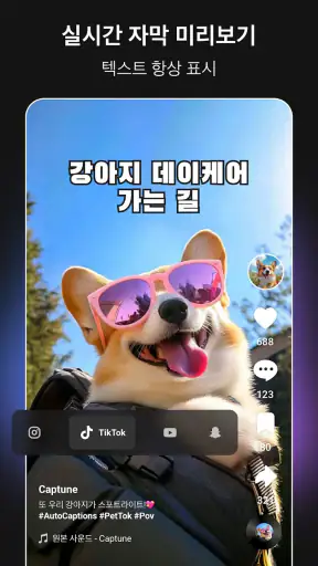 Captions AI - 자동 자막 & 자막 편집 screenshot