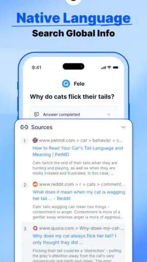 Felo Search screenshot